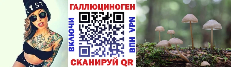 блэк спрут как зайти Кыштым Галлюциногенные грибы GOLDEN TEACHER